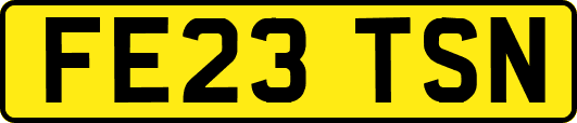 FE23TSN