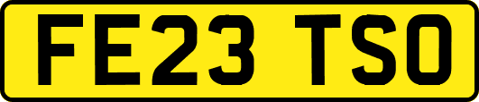 FE23TSO