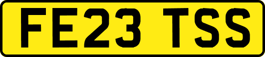 FE23TSS