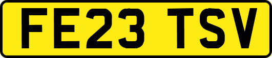 FE23TSV
