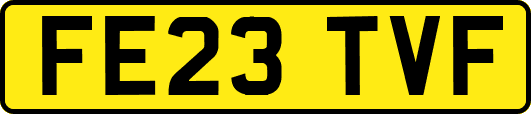 FE23TVF