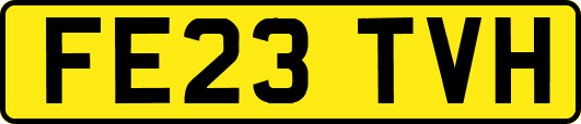 FE23TVH