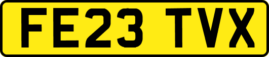 FE23TVX