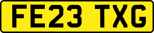 FE23TXG