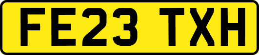 FE23TXH