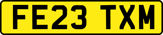 FE23TXM