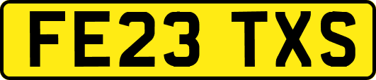 FE23TXS