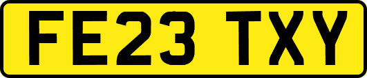 FE23TXY