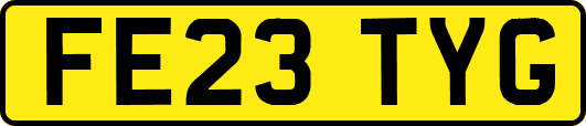 FE23TYG
