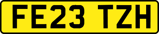 FE23TZH