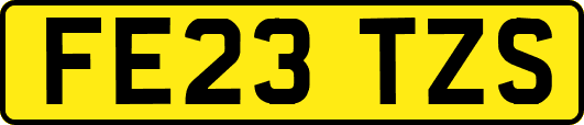 FE23TZS