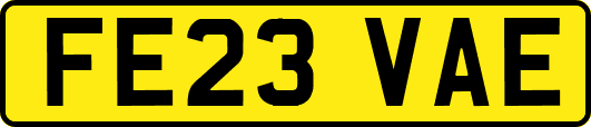 FE23VAE