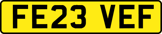FE23VEF