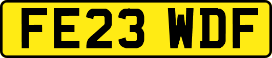 FE23WDF