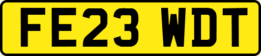 FE23WDT