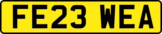 FE23WEA