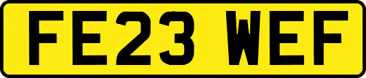 FE23WEF