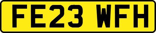FE23WFH
