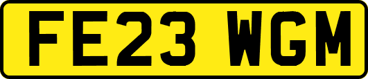 FE23WGM
