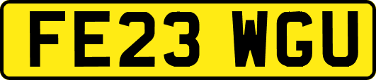 FE23WGU