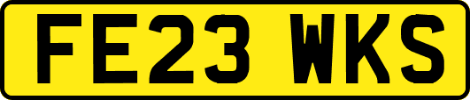 FE23WKS