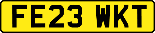 FE23WKT