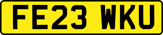 FE23WKU