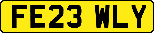 FE23WLY
