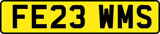 FE23WMS