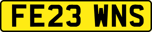 FE23WNS