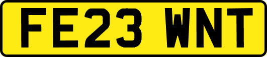 FE23WNT