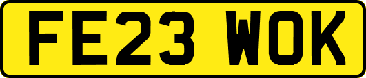 FE23WOK