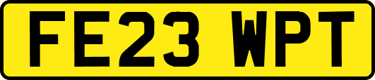 FE23WPT
