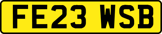 FE23WSB