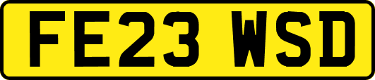 FE23WSD