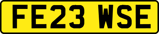 FE23WSE