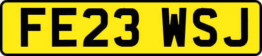 FE23WSJ