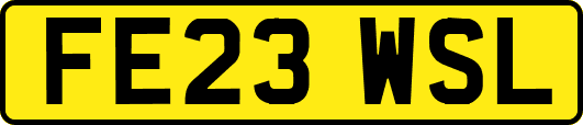 FE23WSL