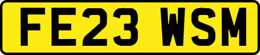 FE23WSM