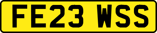 FE23WSS