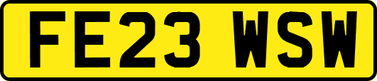 FE23WSW