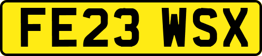 FE23WSX