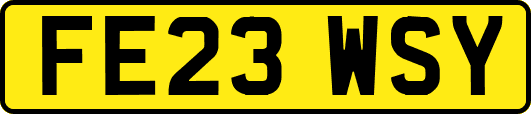 FE23WSY