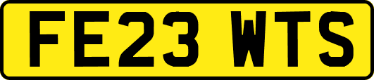 FE23WTS