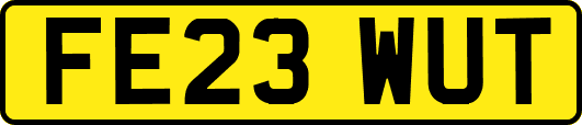 FE23WUT