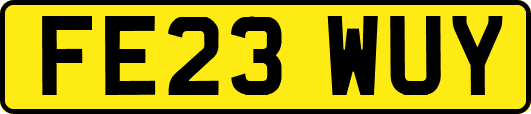 FE23WUY