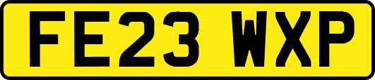 FE23WXP