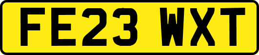 FE23WXT