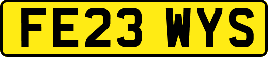 FE23WYS