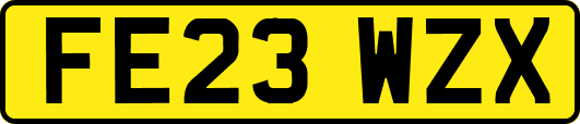FE23WZX